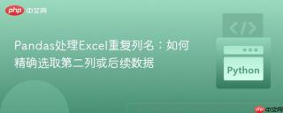 Pandas处理Excel重复列名:如何精确选取第二列或后续数据