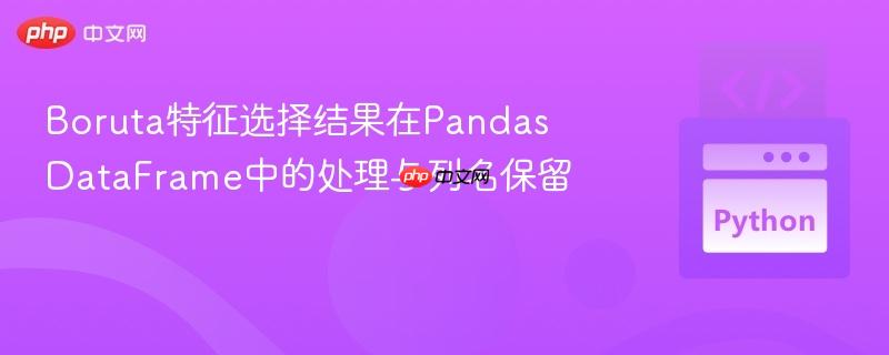 Boruta特征选择结果在Pandas DataFrame中的处理与列名保留