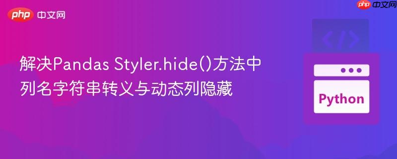 解决Pandas Styler.hide()方法中列名字符串转义与动态列隐藏

