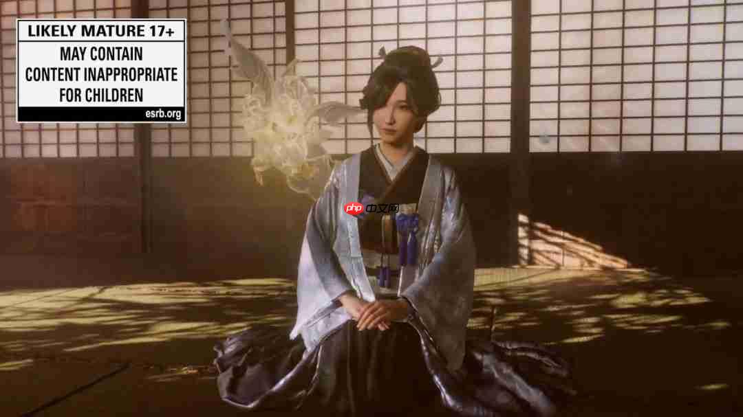 《仁王3》新视频欣赏 服部半藏和斋藤福登场