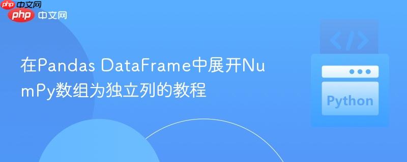 在pandas dataframe中展开numpy数组为独立列的教程