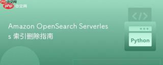 Amazon OpenSearch Serverless 索引删除指南