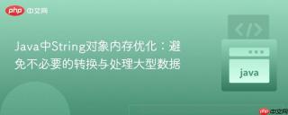 Java中String对象内存优化：避免不必要的转换与处理大型数据