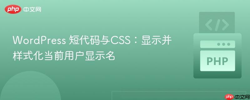 WordPress 短代码与CSS:显示并样式化当前用户显示名