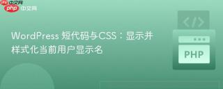 WordPress 短代码与CSS：显示并样式化当前用户显示名
