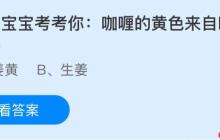 咖喱的黄色来自哪种香料？蚂蚁庄园课堂今天答案最新11月3日