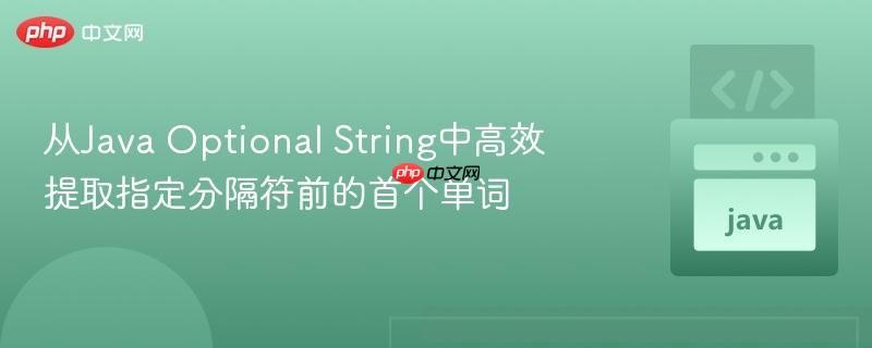 从java optional string中高效提取指定分隔符前的首个单词