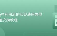 Golang中利用反射实现通用类型安全的值交换教程