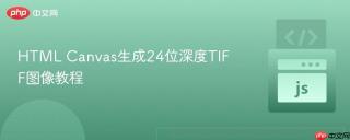 HTML Canvas生成24位深度TIFF图像教程
