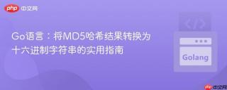 Go语言：将MD5哈希结果转换为十六进制字符串的实用指南