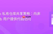 GitHub 私有仓库共享策略：向非 GitHub 用户提供代码访问