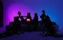 《恋爱吗?我家猫会后空翻》首曝预告！AI跨次元恋爱交互式影游