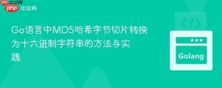 Go语言中MD5哈希字节切片转换为十六进制字符串的方法与实践
