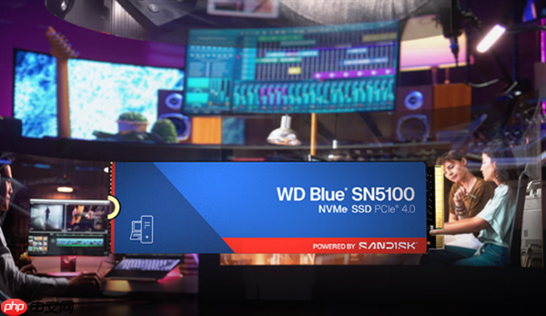 2199元 闪迪WD Blue SN5100 PCIe 4.0 SSD新增4TB版:原厂NAND