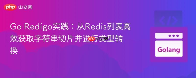 Go Redigo实践:从Redis列表高效获取字符串切片并进行类型转换