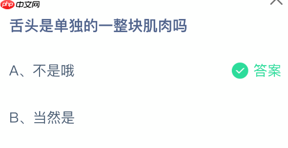 舌头是单独的一整块肌肉吗