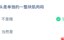 舌头是单独的一整块肌肉吗