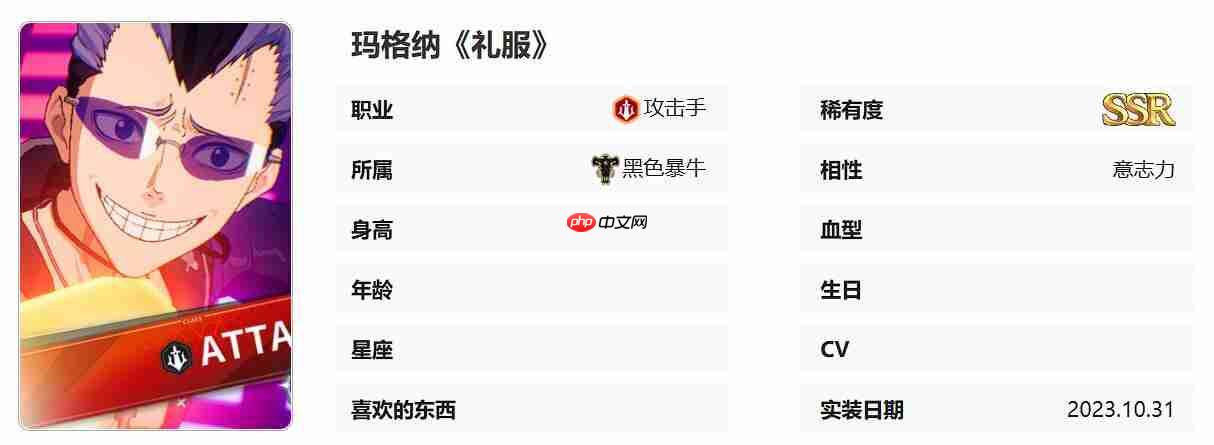 《黑色四叶草魔法帝之道》玛格那介绍