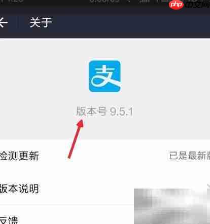 支付宝咻一咻抢红包攻略