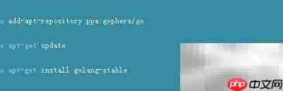 Vault密码与API密钥配置指南