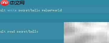Vault密码与API密钥配置指南