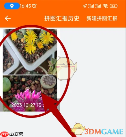 《工程相机》删除拼图汇报历史方法