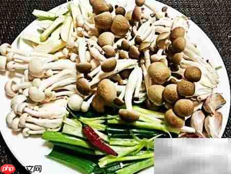 沙茶鸿禧菇做法详解