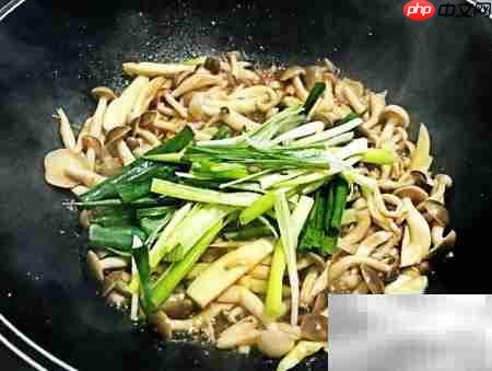 沙茶鸿禧菇做法详解