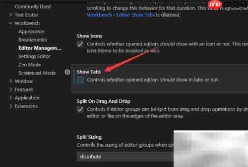 VS Code关闭标签页显示