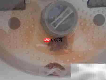 沐足盆亲测:洗脚按摩真享受