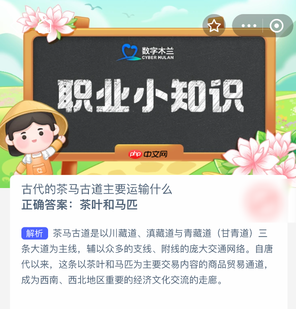 古代的茶马古道主要运输什么