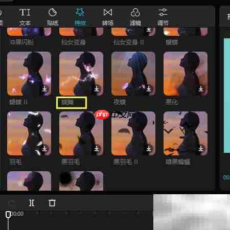 剪映专业版蝶舞特效添加教程