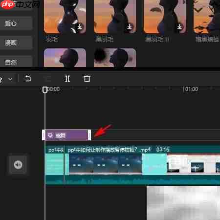 剪映专业版蝶舞特效添加教程