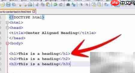 文本居中代码实现技巧