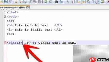 文本居中代码实现技巧