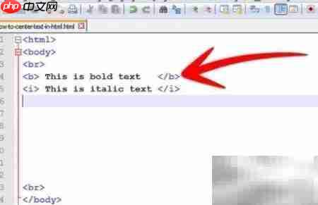 文本居中代码实现技巧