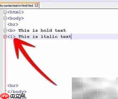 文本居中代码实现技巧