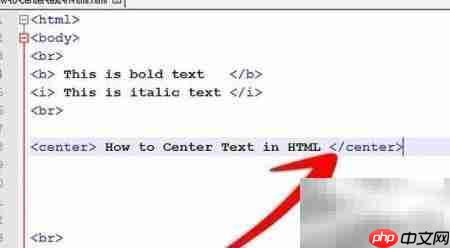 文本居中代码实现技巧