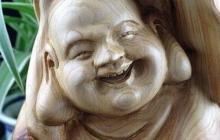 太行崖柏为何称尊