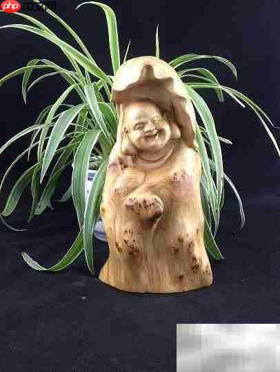 太行崖柏为何称尊