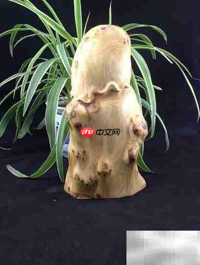 太行崖柏为何称尊