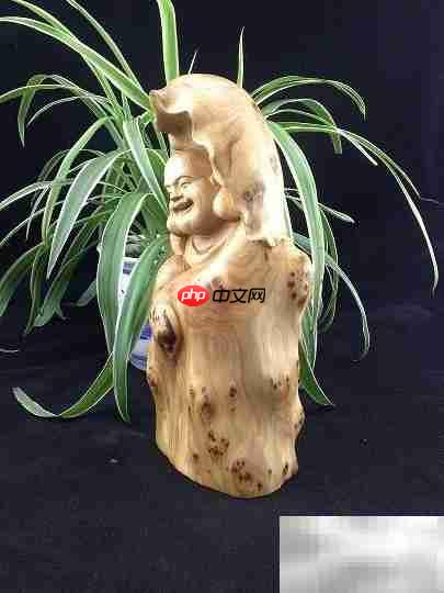 太行崖柏为何称尊