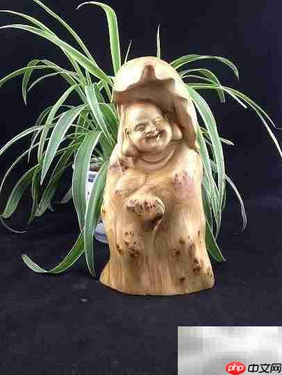 太行崖柏为何称尊