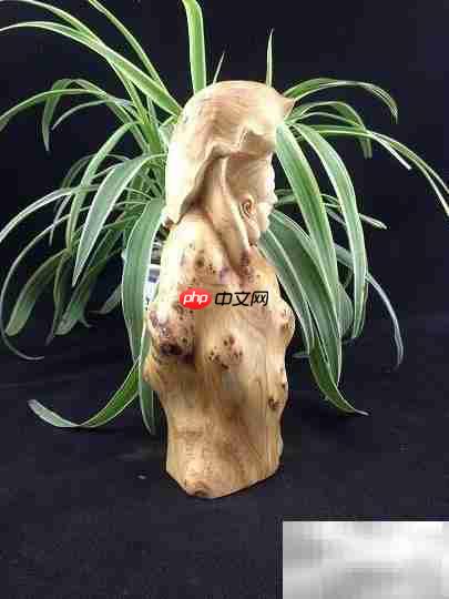 太行崖柏为何称尊