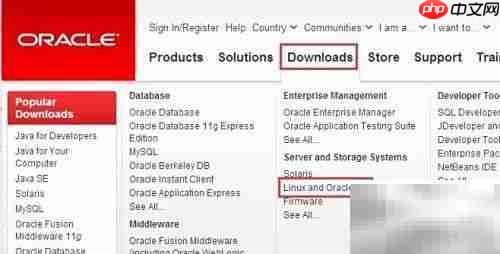 Oracle Linux 下载指南