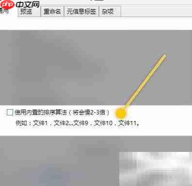ReNamer内置排序设置方法