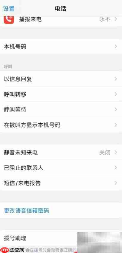 苹果设置助理使用方法