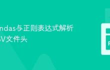 使用Pandas与正则表达式解析复杂CSV文件头
