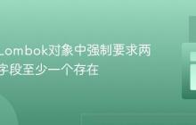 如何在Lombok对象中强制要求两个可空字段至少一个存在