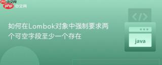如何在Lombok对象中强制要求两个可空字段至少一个存在
